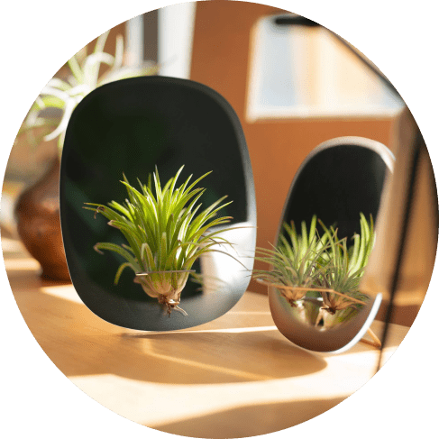 Rectangular Blue Plant Mirror Rectangular Blue Plant Mirror