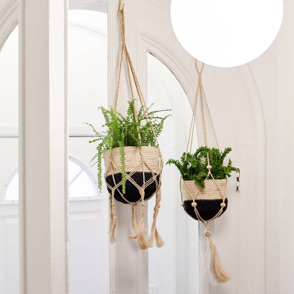 <h1>Nadu Plant Hanger Set</h1> Nadu Plant Hanger Set