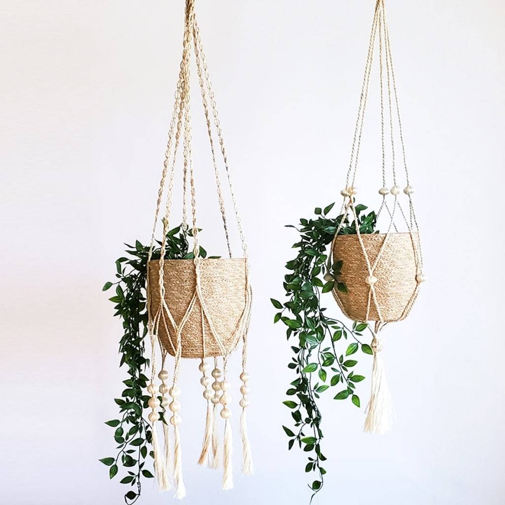 <h1>Fiora Plant Hanger Set</h1> Fiora Plant Hanger Set