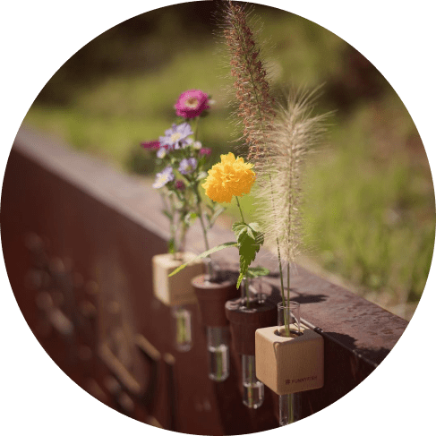Smart Magnet Vase Combo Smart Magnet Vase Combo