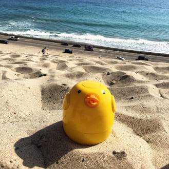 Duck Essential Oil Diffuser Duck Essential Oil Diffuser