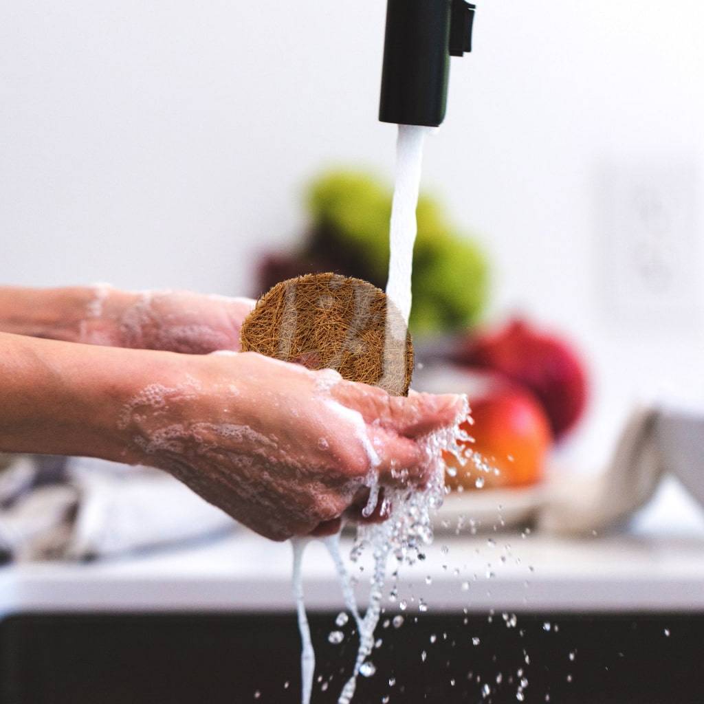 <h1>Coconut Coir Dish Pads</h1> Coconut Coir Dish Pads