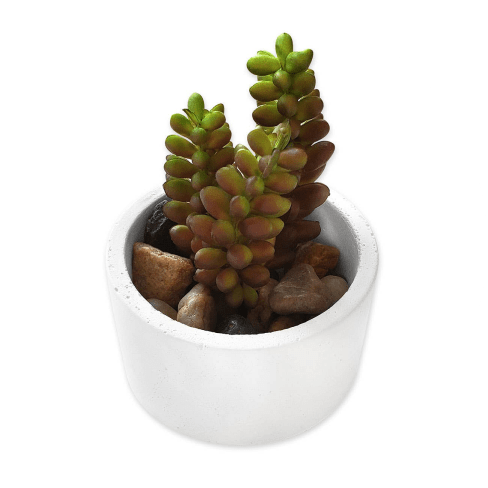 White Round Planter White Round Planter