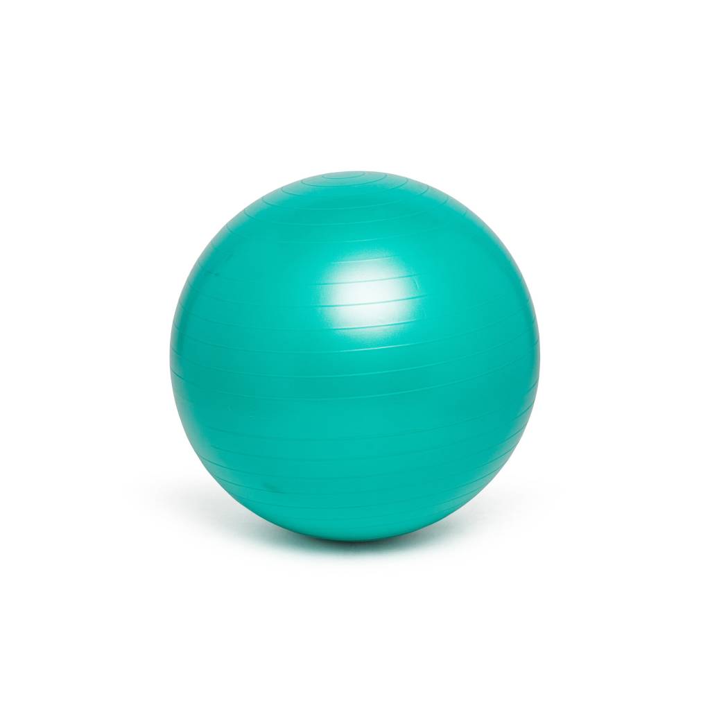 <h1>45 cm / 18 inch Balance Ball</h1> 45 cm / 18 inch Balance Ball