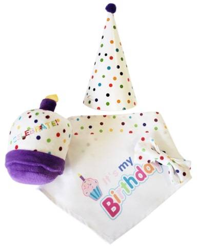 4-Piece Dog Birthday Kit