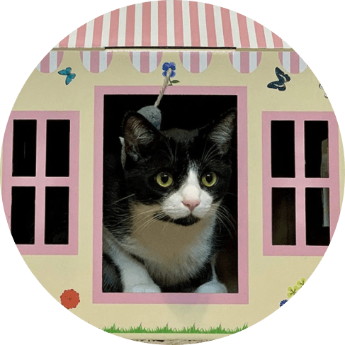 Cottage Cat Scratcher House Cottage Cat Scratcher House