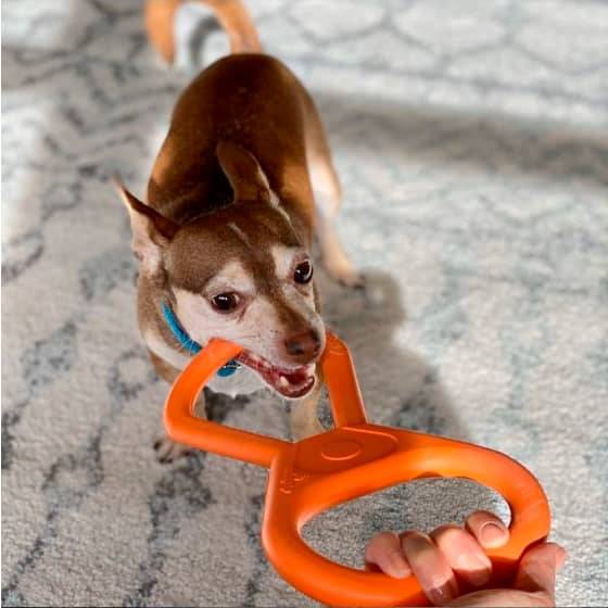 Tug O' War Toy Tug O' War Toy