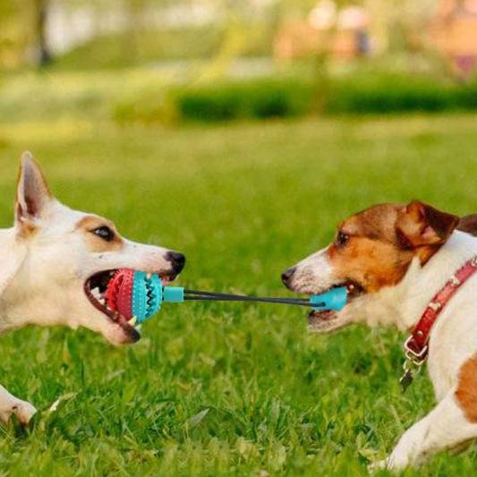 Tug-of-Floor Dog Toy Tug-of-Floor Dog Toy