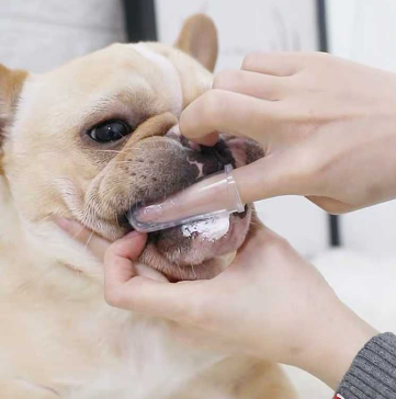 Soft Finger Pet Toothbrush Set (3pcs) Soft Finger Pet Toothbrush Set (3pcs)