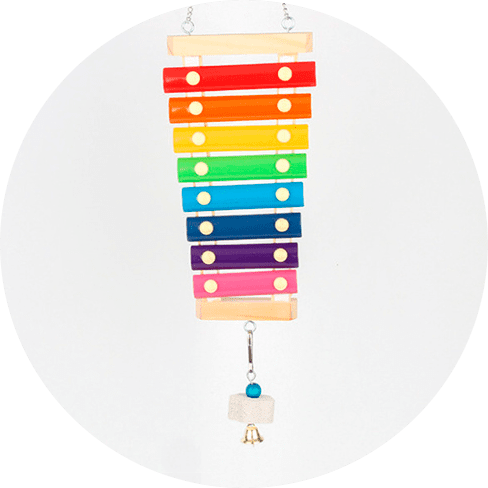 Xylophone Toy For Birds Xylophone Toy For Birds