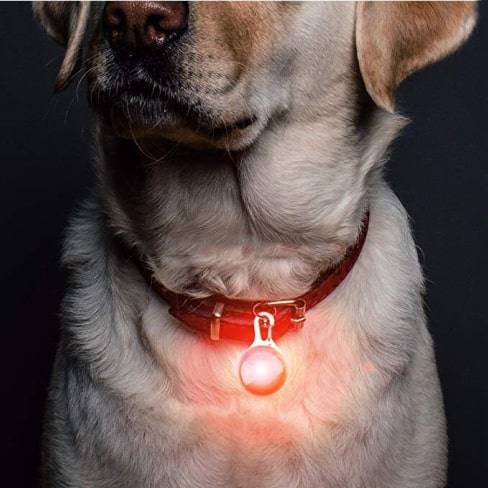 Pets Collar Safety Pendant Pets Collar Safety Pendant