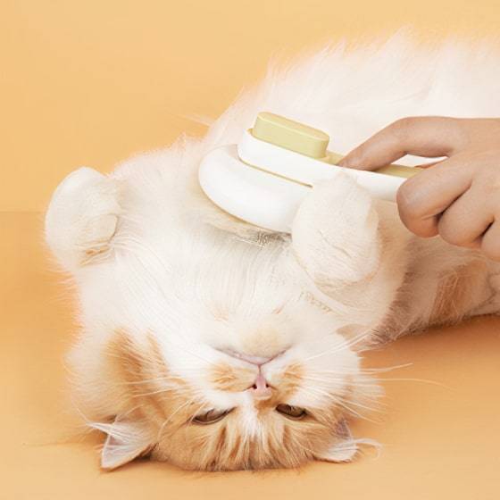 Comb For Cats & Dogs Comb For Cats & Dogs