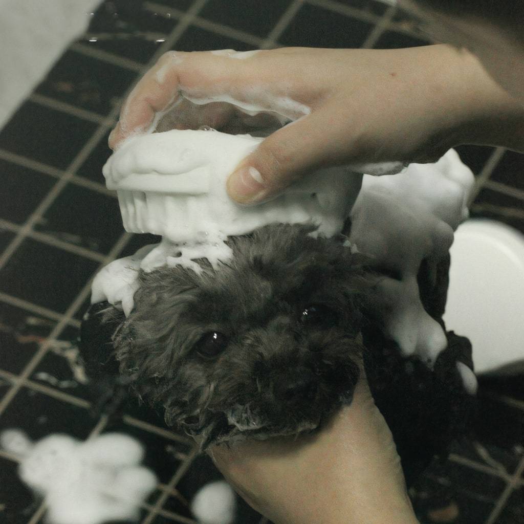 <h1>Grooming Bath Brush</h1> Grooming Bath Brush