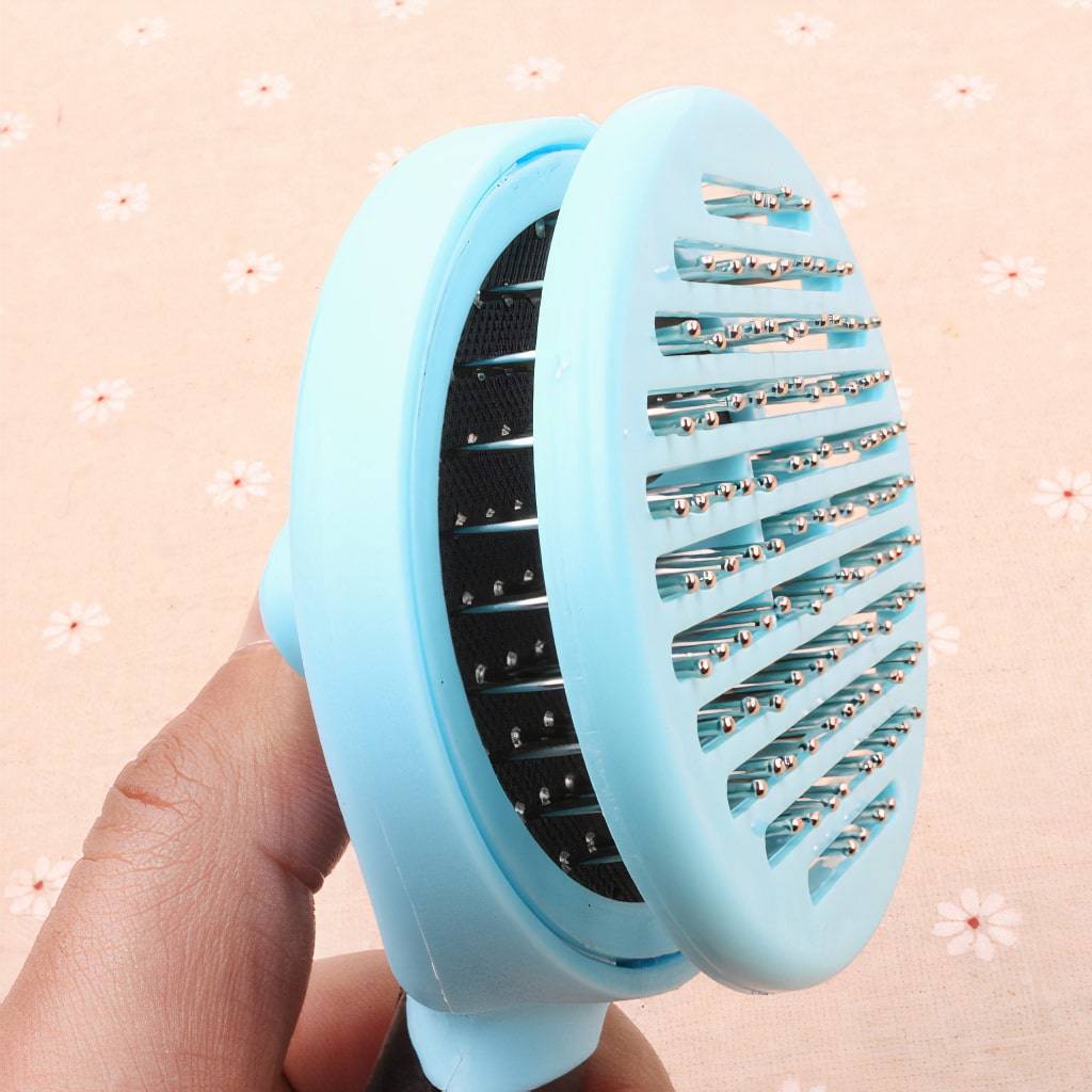 <h1>Pet Comb</h1> Pet Comb