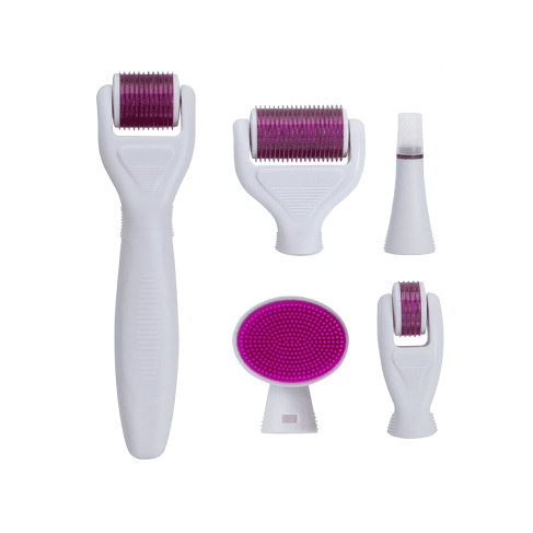 6-in-1 Derma Roller 6-in-1 Derma Roller