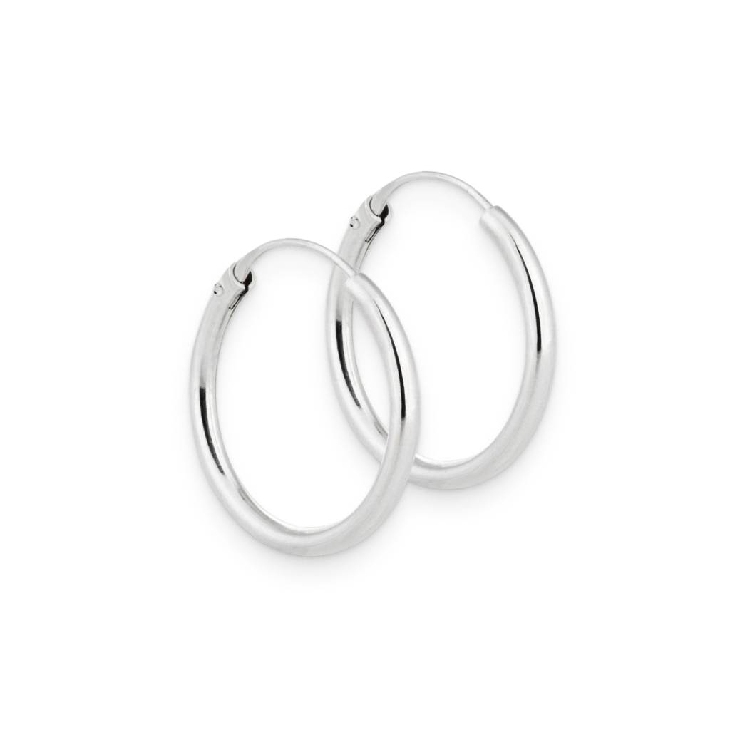 <h1>Metal Hoop Earrings</h1> Metal Hoop Earrings