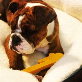Nylon Pipe Wrench - Dog Chew Toy Nylon Pipe Wrench - Dog Chew Toy