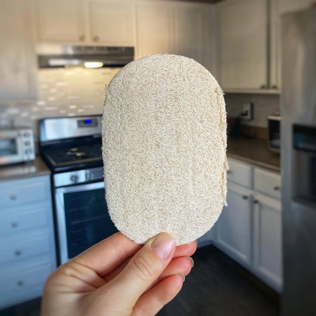 <h1>Single Layer Loofah Dish Sponges (3 pcs)</h1> Single Layer Loofah Dish Sponges (3 pcs)