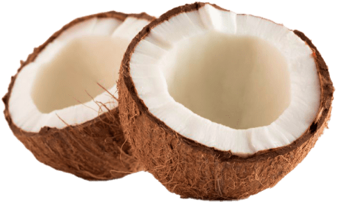 PH-Balanced Coconut Pet Conditioner