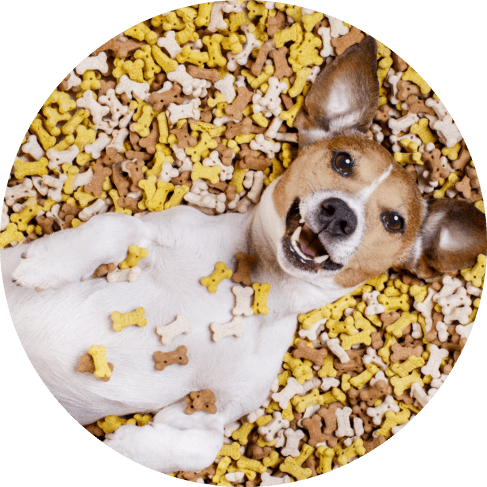 Deep Bowl - Paw Print Design (32 oz)