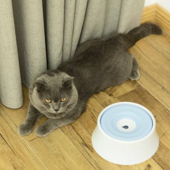 Anti-Splash Water Dispenser for Pets