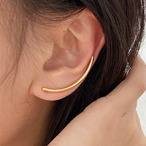 Asymmetrical Design Earrings Asymmetrical Design Earrings