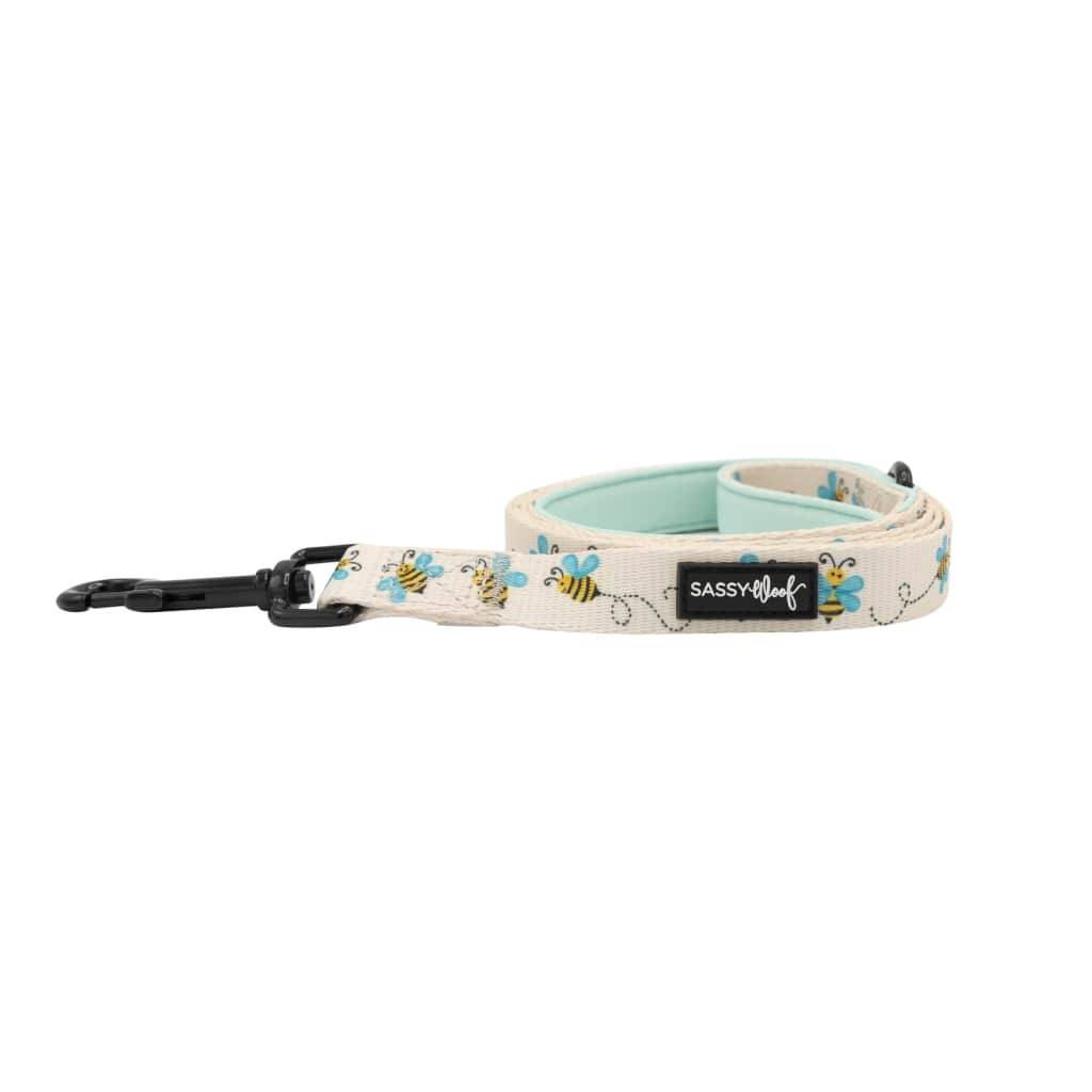 <h1>Bee Sassy’ Dog Fabric Leash Pets</h1> Bee Sassy' Dog Fabric Leash Pets