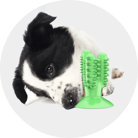 Cactus Dog Toothbrush Cactus Dog Toothbrush