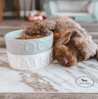Classic Food Grey Bowl Classic Food Grey Bowl