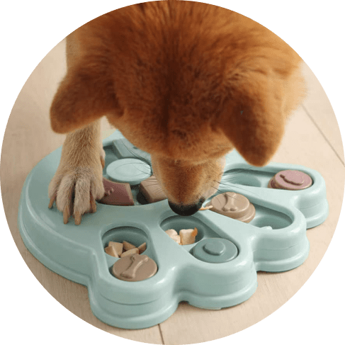 Dog Puzzle Toy Dog Puzzle Toy