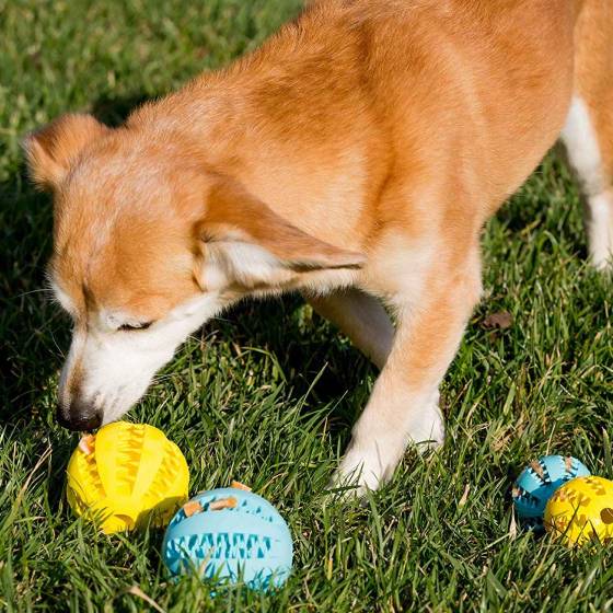 Dog Toy Feeder Ball Large (2.8 inch) Dog Toy Feeder Ball Large (2.8 inch)