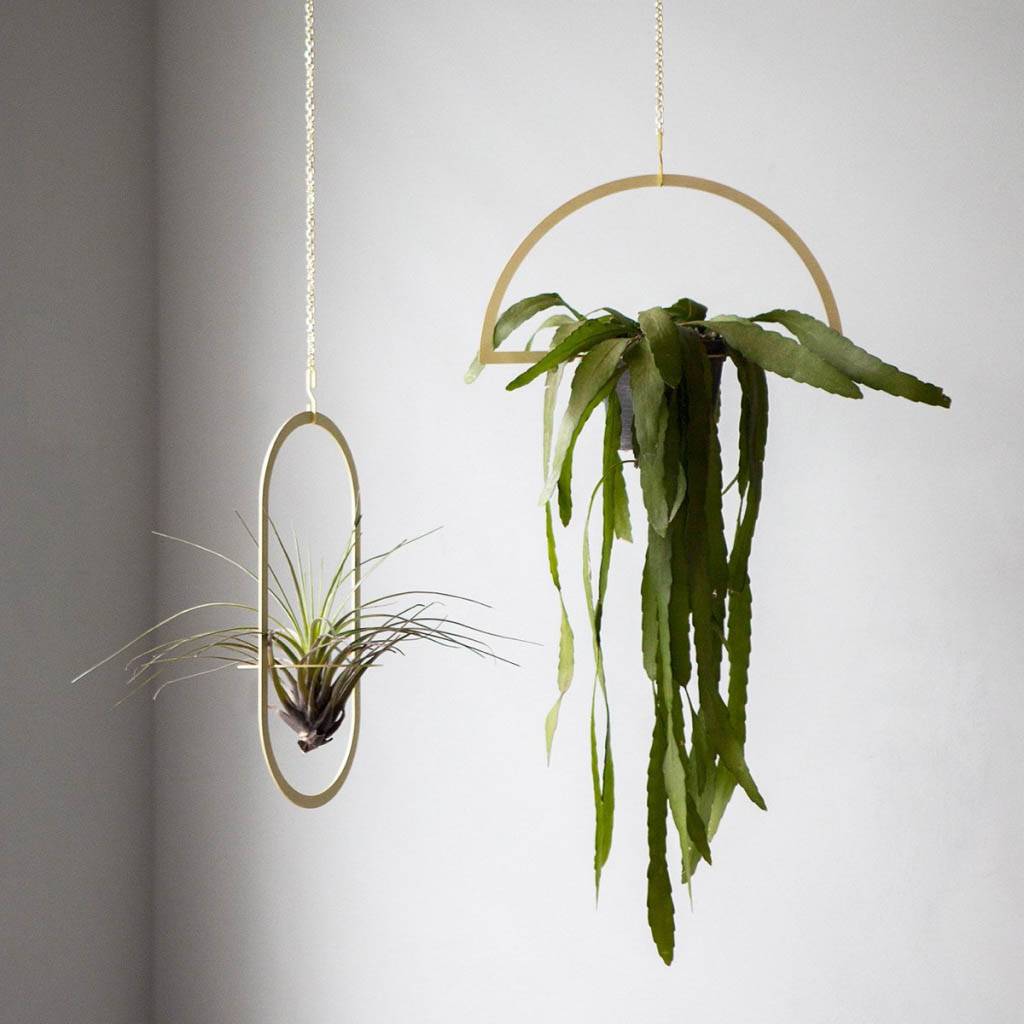 <h1>Gold Hanging Semicircle Plant Holder Home Goods</h1> Gold Hanging Semicircle Plant Holder Home Goods