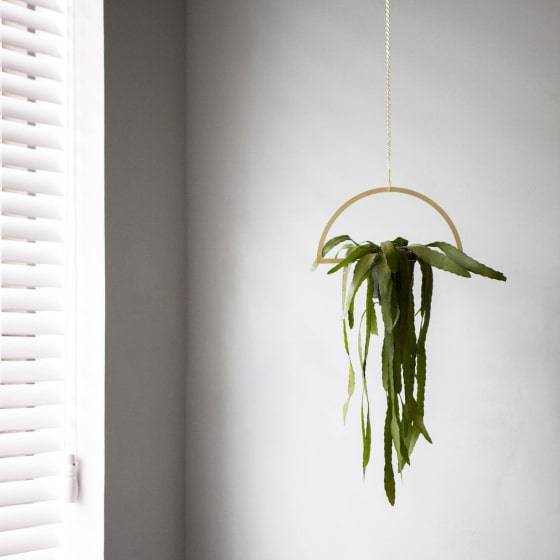 Gold Hanging Semicircle Plant Holder Gold Hanging Semicircle Plant Holder