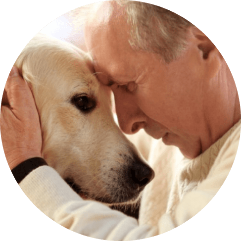 Grey Houndstooth Nylon Ribbon Collar