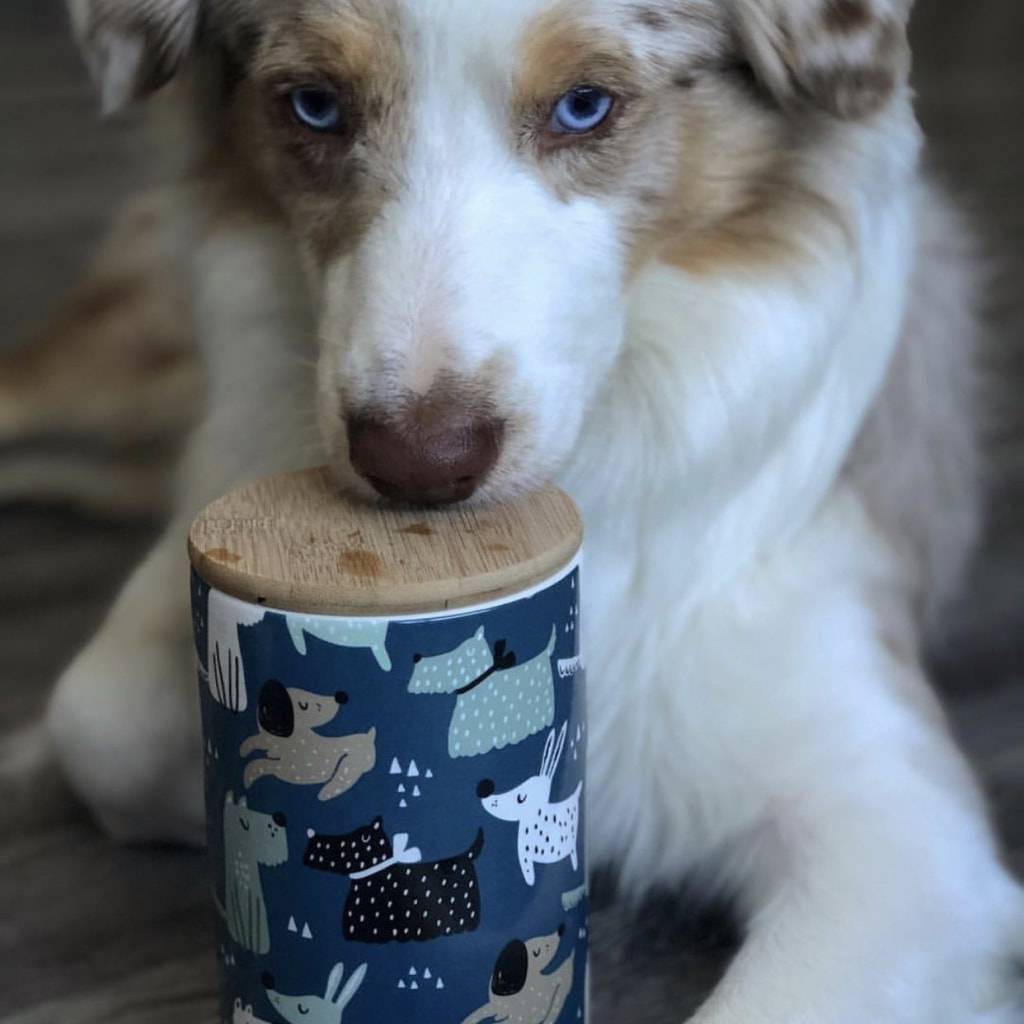 <h1>Hooper Treat Jar Pets</h1> Hooper Treat Jar Pets