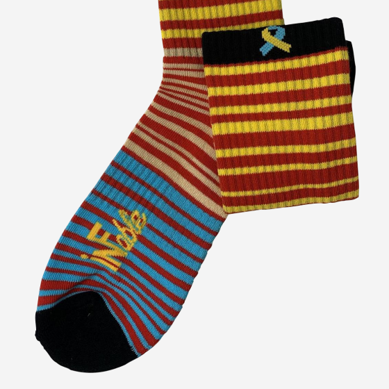 Human Rights For Care Giver's Socks Human Rights For Care Giver's Socks