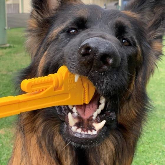 Nylon Pipe Wrench - Dog Chew Toy Nylon Pipe Wrench - Dog Chew Toy