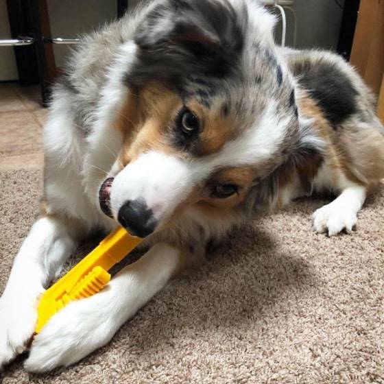Nylon Pipe Wrench - Dog Chew Toy Nylon Pipe Wrench - Dog Chew Toy