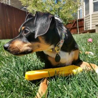 Nylon Pipe Wrench - Dog Chew Toy Nylon Pipe Wrench - Dog Chew Toy