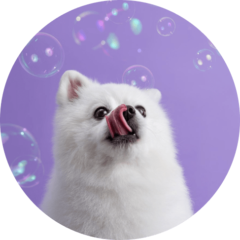 PH-Balanced Coconut Pet Conditioner