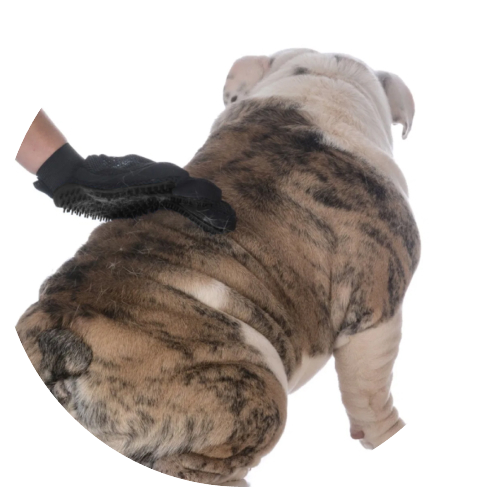 Pet Anti-Shedding Gloves Pet Anti-Shedding Gloves