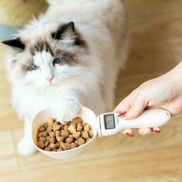 <h1>Pet Food Measuring Spoon With LCD Display Pets</h1> Pet Food Measuring Spoon With LCD Display Pets