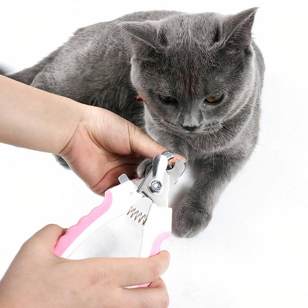 <h1>Pet Nail Clipper Pets</h1> Pet Nail Clipper Pets