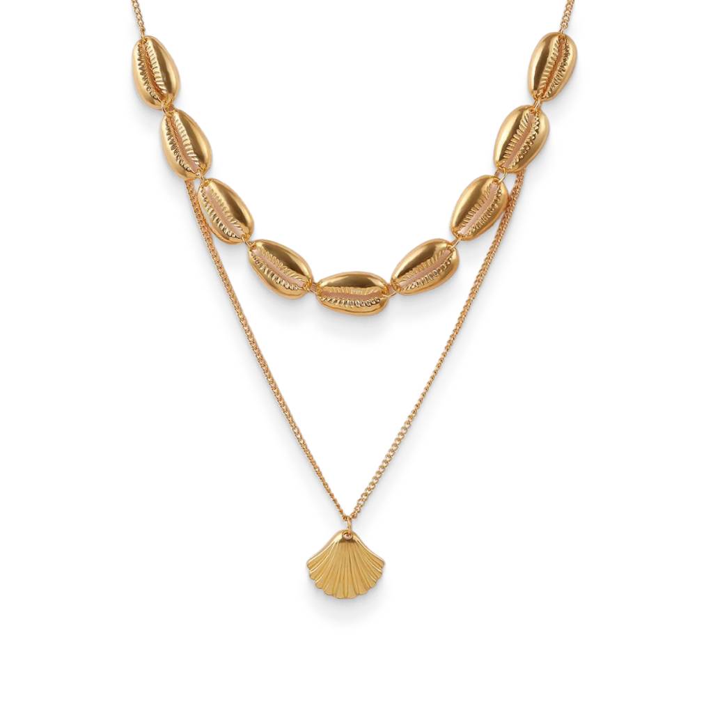 <h1>Seashell Necklace Fashion</h1> Seashell Necklace Fashion