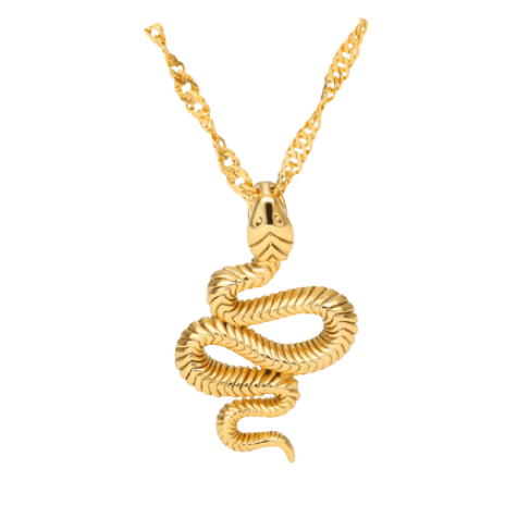 Snake Shaped Pendant Necklace Snake Shaped Pendant Necklace