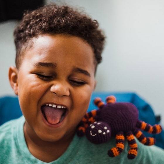 Spider Rattle Spider Rattle