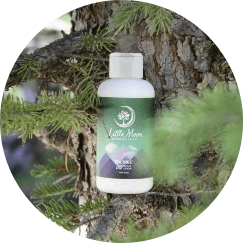 Tea Tree Foot Lotion