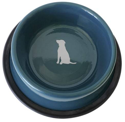 Teal Non Skid Dog Bowl