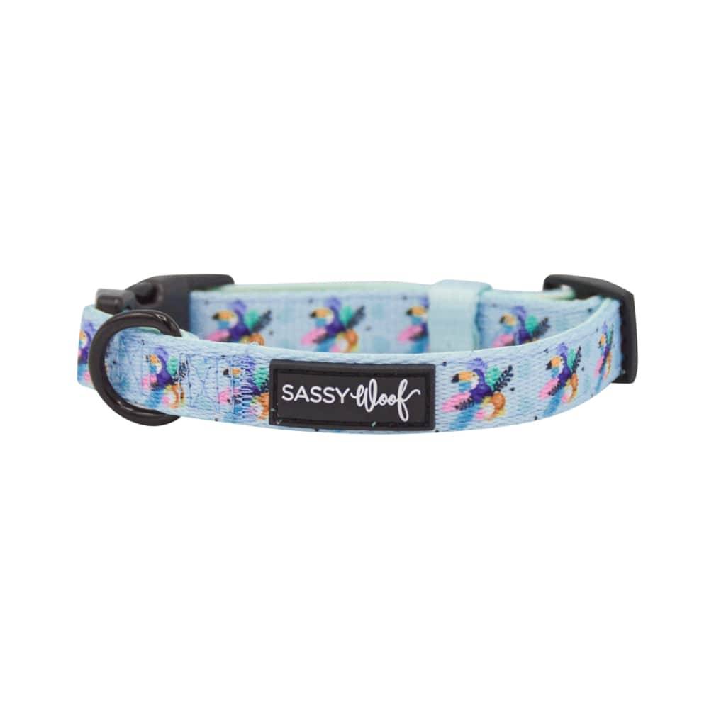 <h1>Tropicana’ Dog Collar Pets</h1> Tropicana' Dog Collar Pets
