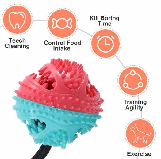 <h1>Tug-of-Floor Dog Toy Pets Color : Red/White|Green|Green/Red</h1> Tug-of-Floor Dog Toy Pets Color : Red/White|Green|Green/Red